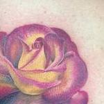 Tattoos - Realistic rose and ink drip tattoo by Haylo  - 141175