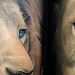 Tattoos - Lion leg tattoo by Haylo - 141185