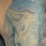 Tattoos - Elephant and Lion half sleeve  - 141184