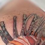 Tattoos - Lionfish tattoo by Haylo  - 141182