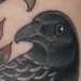 Tattoos - Crow and compass - 52184