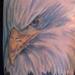 Tattoos - Bald Eagle - 69524