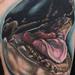Tattoos - Killer whale - 69565