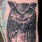 Tattoos - Owl, Forrest - 142169