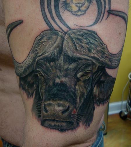 Larry Brogan - Cape Buffalo