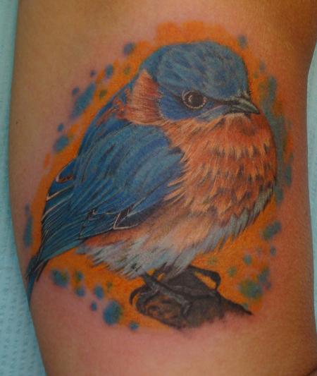 Larry Brogan - Eastern Bluebird