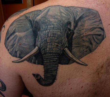 Larry Brogan - Elephant Portrait