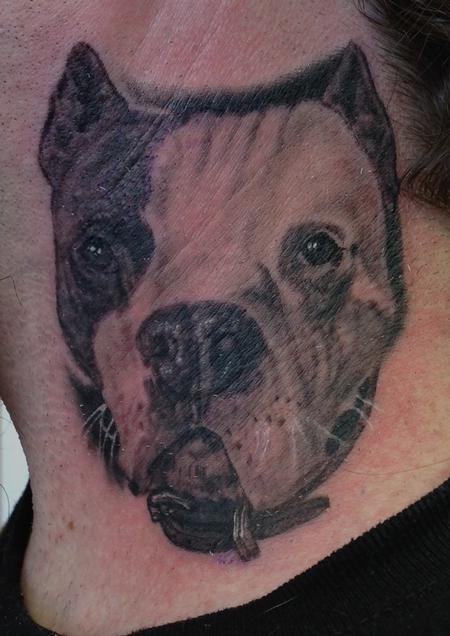 Larry Brogan - Pit Bull Portrait