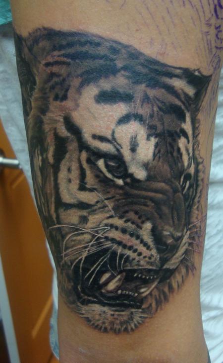 Tattoos - Angry Tiger - 100584
