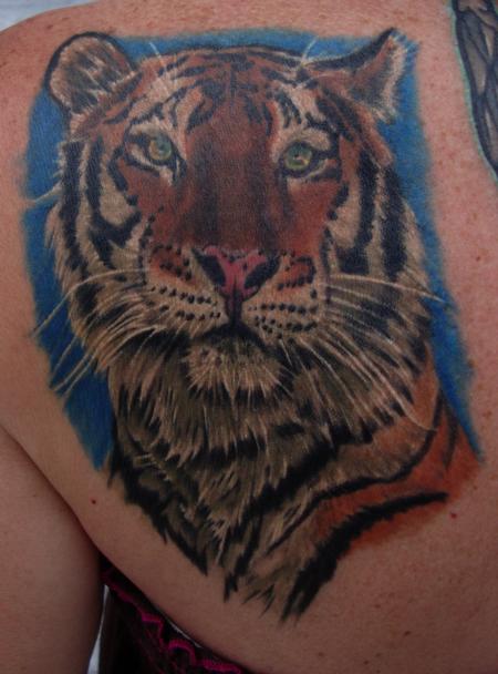 Larry Brogan - Tiger Portrait