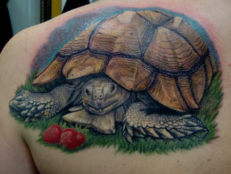 Tattoos - Happy Little Tortoise  - 99093
