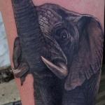 Tattoos - Elephant Stomp - 104023