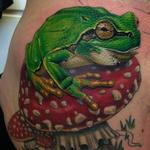 Tattoos - Frog and Amanita Muscaria - 103815
