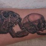 Tattoos - Skull Eat Skull Eat Skull - 122785