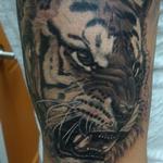 Tattoos - Angry Tiger - 100584