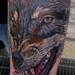 Tattoos - Hungry Like The Wolf - 98698
