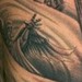 Tattoos - andrew, stomach #2 - 43350