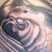 Tattoos - Black and Grey Koi Fish - 39709