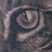 Tattoos - Cat Portrait - 42969