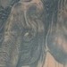 Tattoos - Clock melting into Elephant - 34297