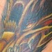 Tattoos - phoenix - 47246
