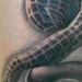 Tattoos - Spiderman #1 - 47244