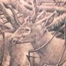Tattoos - in memory of a hunter - 47002