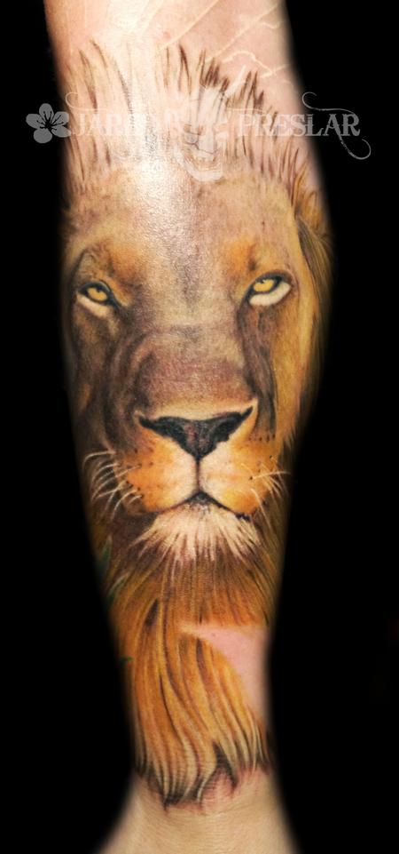 Tattoos - Lion Tattoo in Progress - 69058