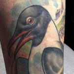 Tattoos - Custom Laughing Gull Tattoo - 100599