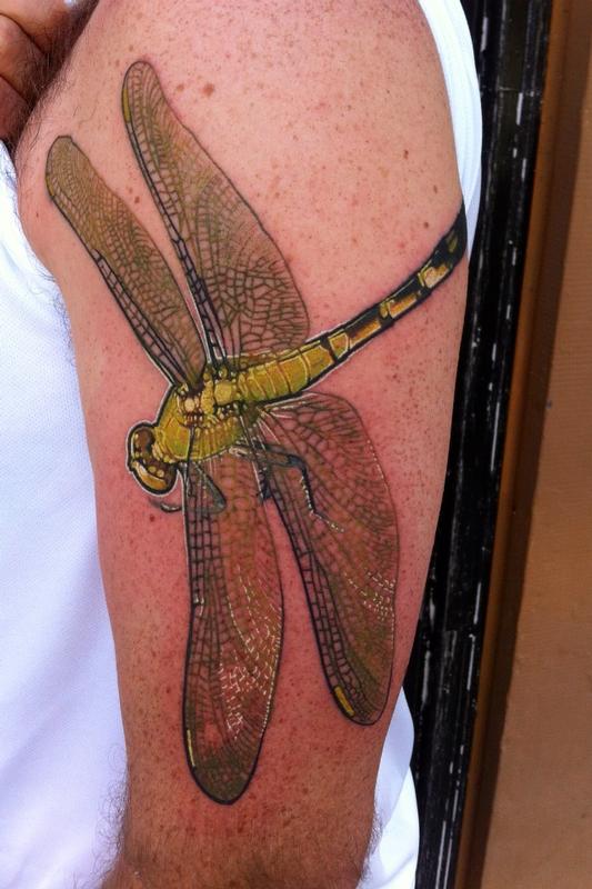 The Tattoo Den  Coheed and Cambria Dragonfly and logo  Facebook