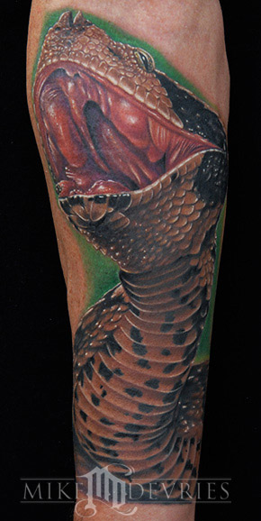 Tattoos - Gaboon Viper - 23760