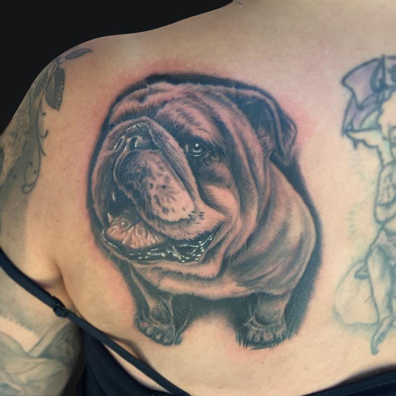 Bulldog Tattoo by Mike DeVries: TattooNOW Bulldog Tattoo by Mike DeVries: TattooNOW