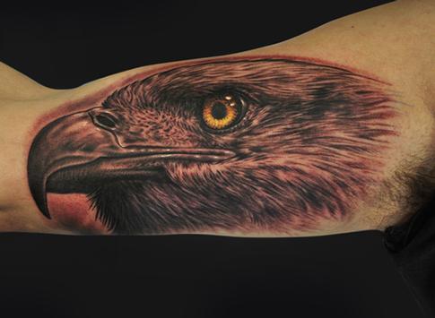 Tattoos - Eagle Tattoo - 64253