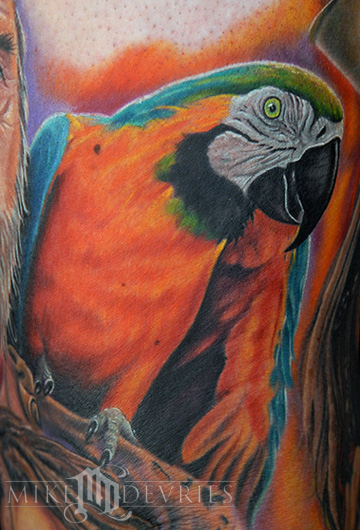Tattoos - Parrot Tattoo  - 23758