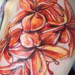 Tattoos - Appalachia Botanica - 117149