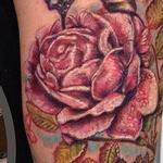 Tattoos - untitled - 109383