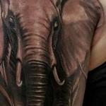 Tattoos - elefant  - 128186