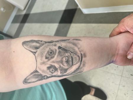 Healed Dog Portriat by Johnny B_