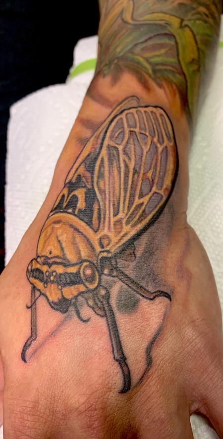 Cicada tattoo Tattoo Design Thumbnail