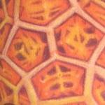 Tattoos - Mandala tattoo - 115440