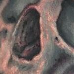 Tattoos - Skull tattoo - 114110