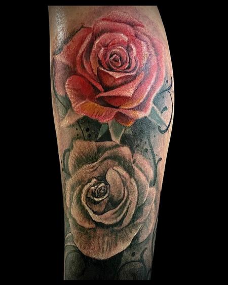 Steve Phipps - Roses