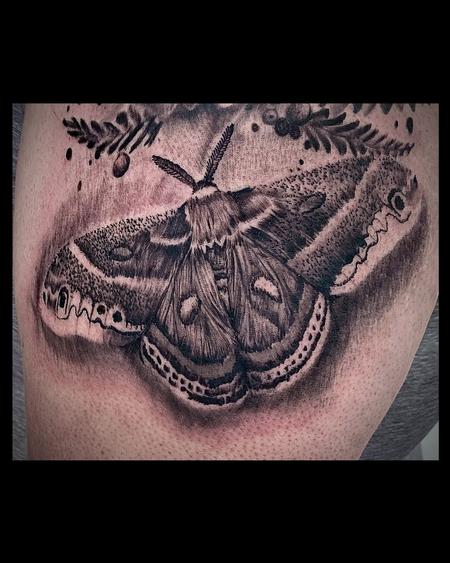 Tattoos - Cecropia - 143913