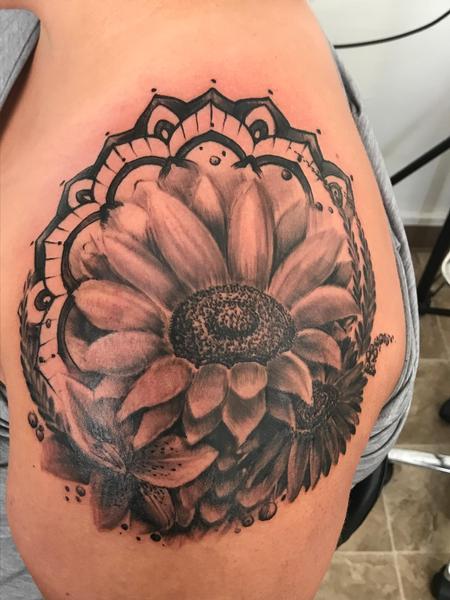 Steve Phipps - Freehand Design