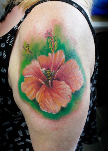 Steve Phipps - Hibiscus