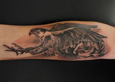 Tattoos - Peregrine - 132806