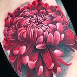 Tattoos - Chrysanthemum - 143519