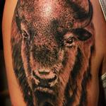 Tattoos - Bison - 105019