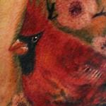Tattoos - Cardinal - 136095
