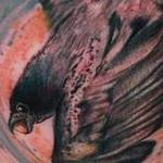 Tattoos - Crow - 116054